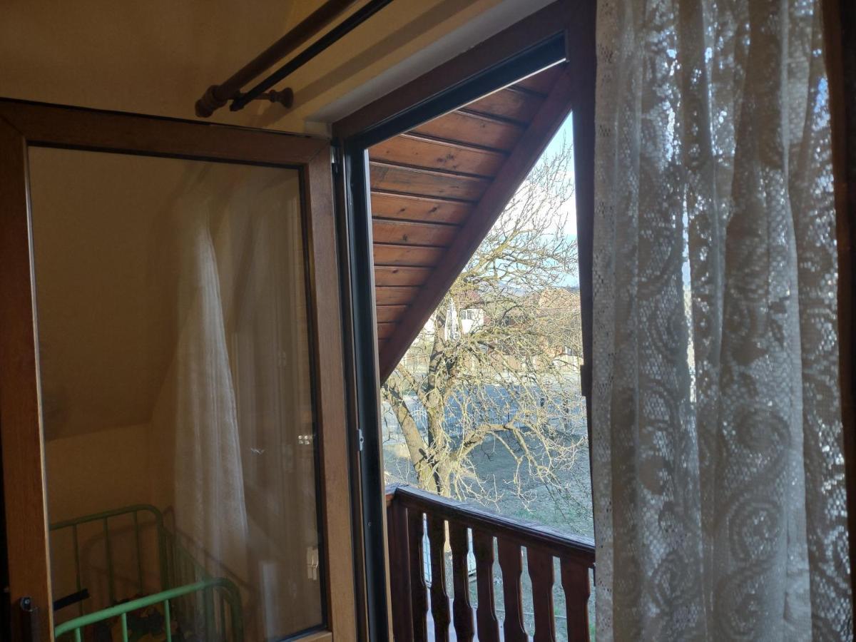 Pensiunea Ghita Vasile Vadu Izei Zewnętrze zdjęcie