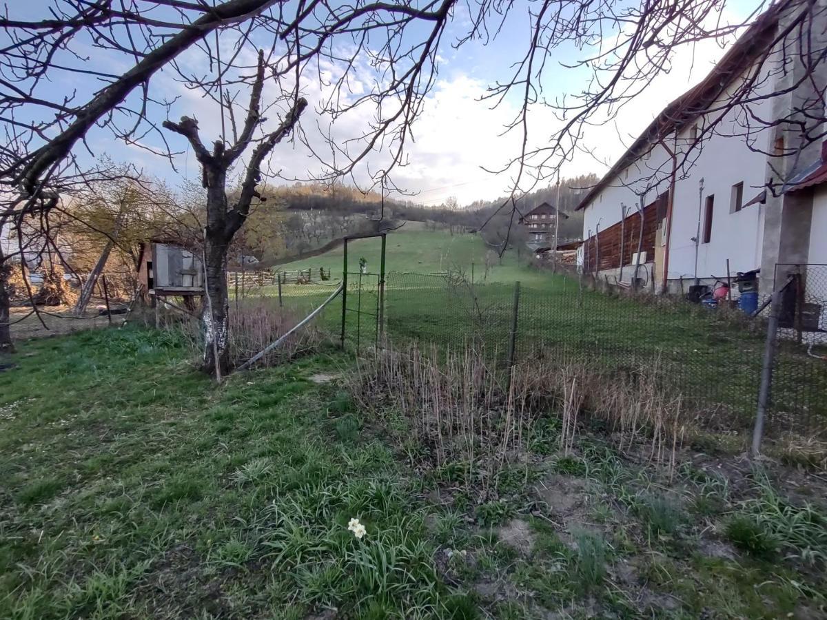 Pensiunea Ghita Vasile Vadu Izei Zewnętrze zdjęcie