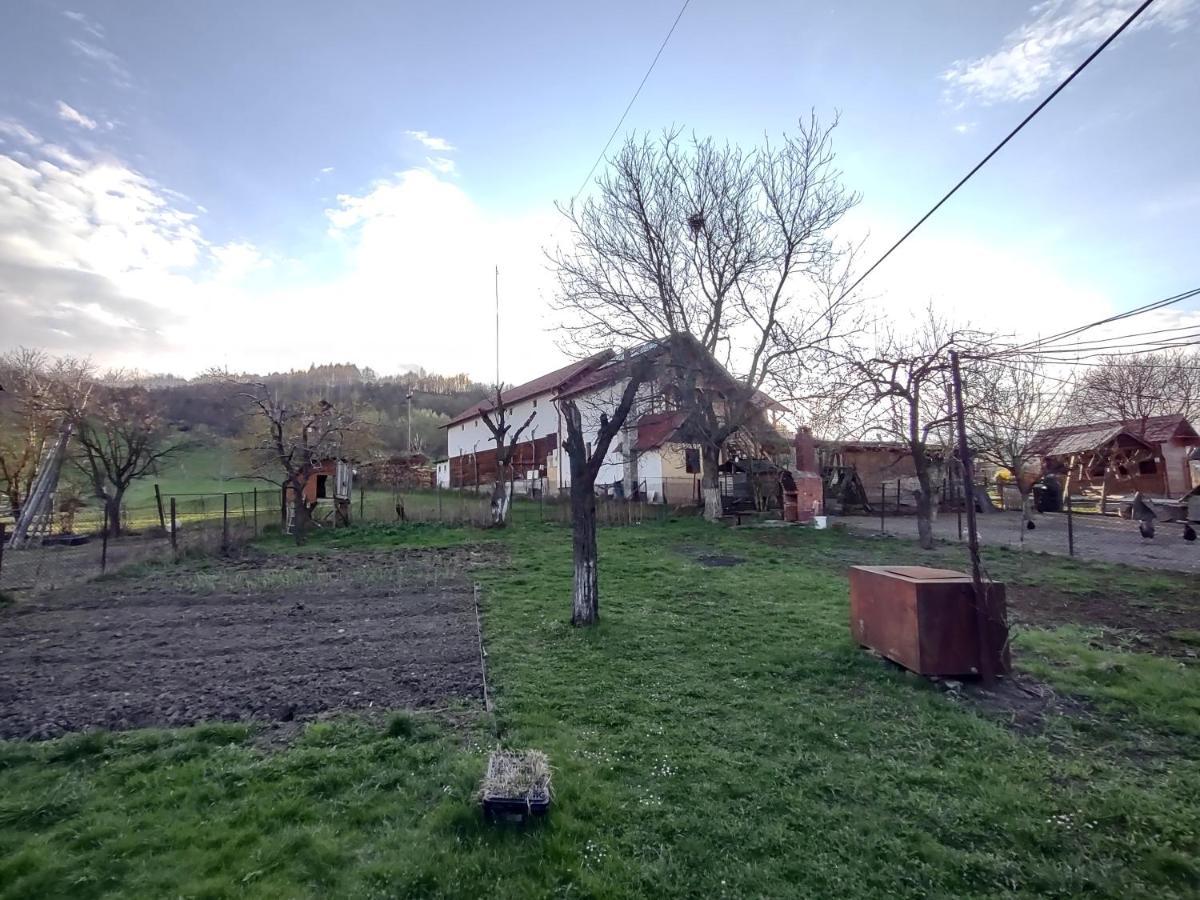 Pensiunea Ghita Vasile Vadu Izei Zewnętrze zdjęcie