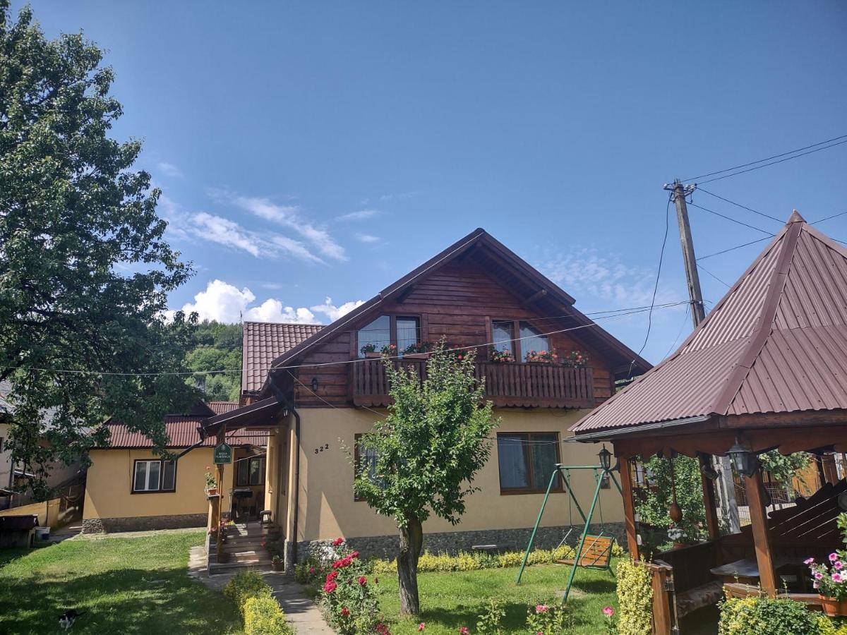 Pensiunea Ghita Vasile Vadu Izei Zewnętrze zdjęcie