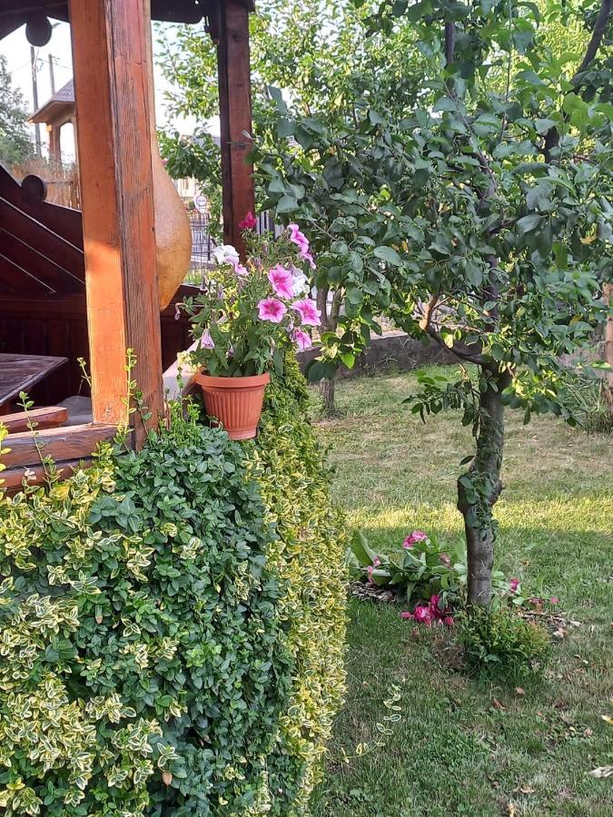 Pensiunea Ghita Vasile Vadu Izei Zewnętrze zdjęcie
